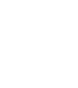 bags-icon-white