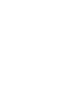 case-icon-white